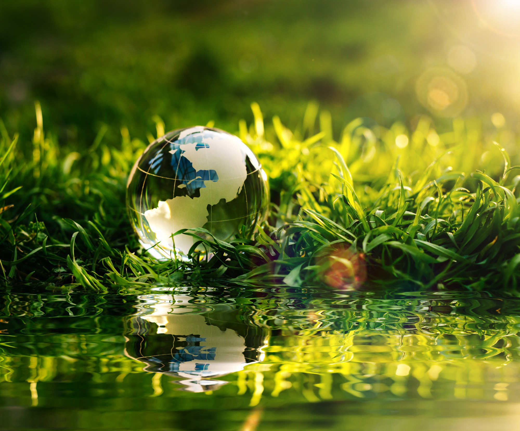 Sustainability